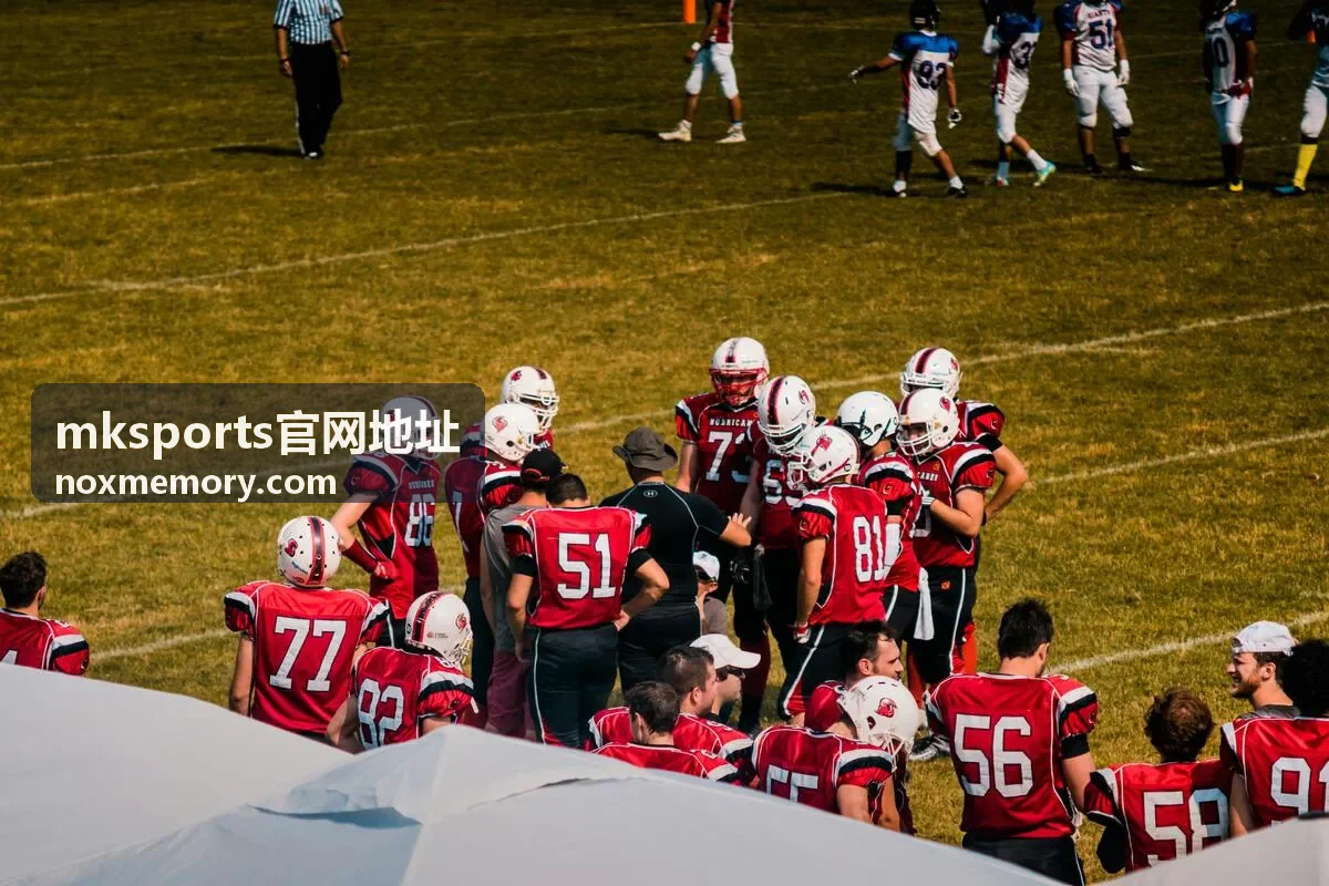 mksports官网地址移动端显示与收藏封面图