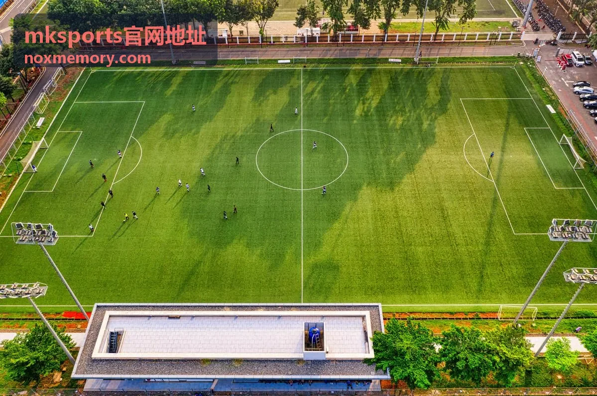 mksports官网地址网络切换判断封面图