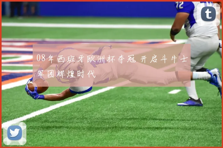08年西班牙欧洲杯夺冠 开启斗牛士军团辉煌时代