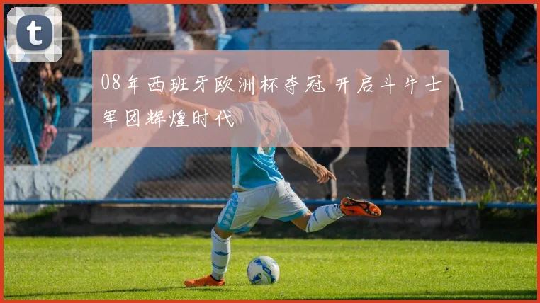 08年西班牙欧洲杯夺冠 开启斗牛士军团辉煌时代