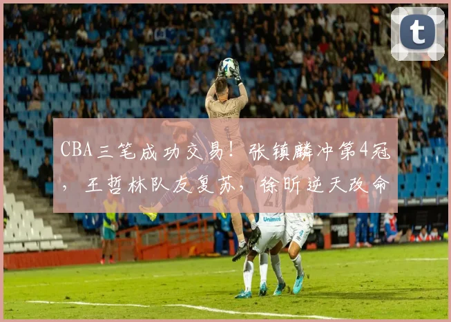 CBA三笔成功交易！张镇麟冲第4冠，王哲林队友复苏，徐昕逆天改命