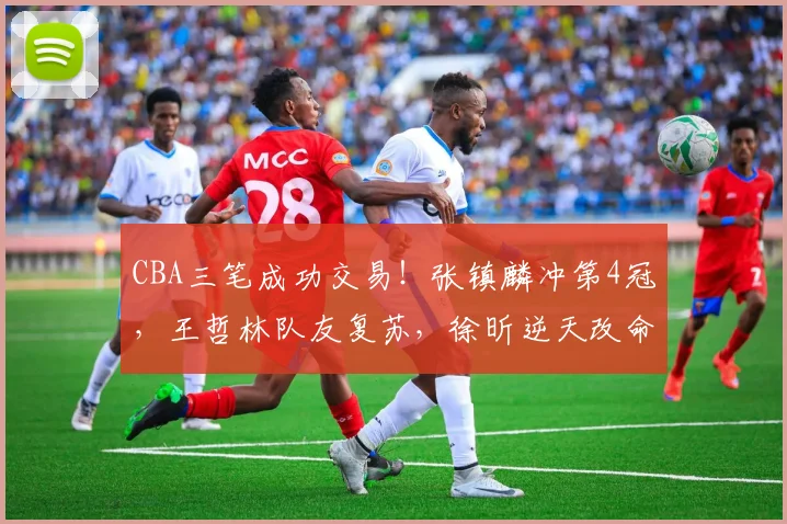 CBA三笔成功交易！张镇麟冲第4冠，王哲林队友复苏，徐昕逆天改命