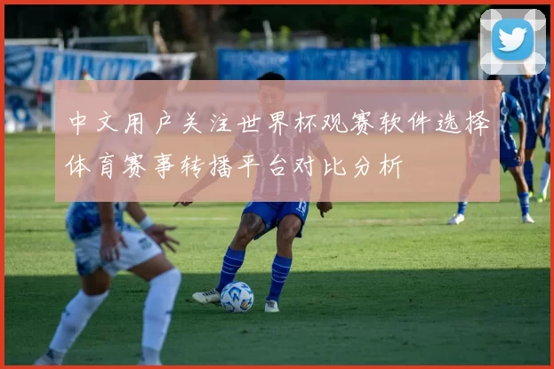 中文用户关注世界杯观赛软件选择体育赛事转播平台对比分析