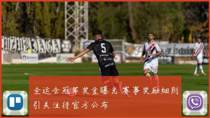 全运会冠军奖金曝光 赛事奖励细则引关注待官方公布
