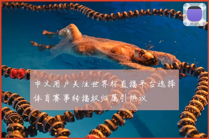 中文用户关注世界杯直播平台选择体育赛事转播权归属引热议
